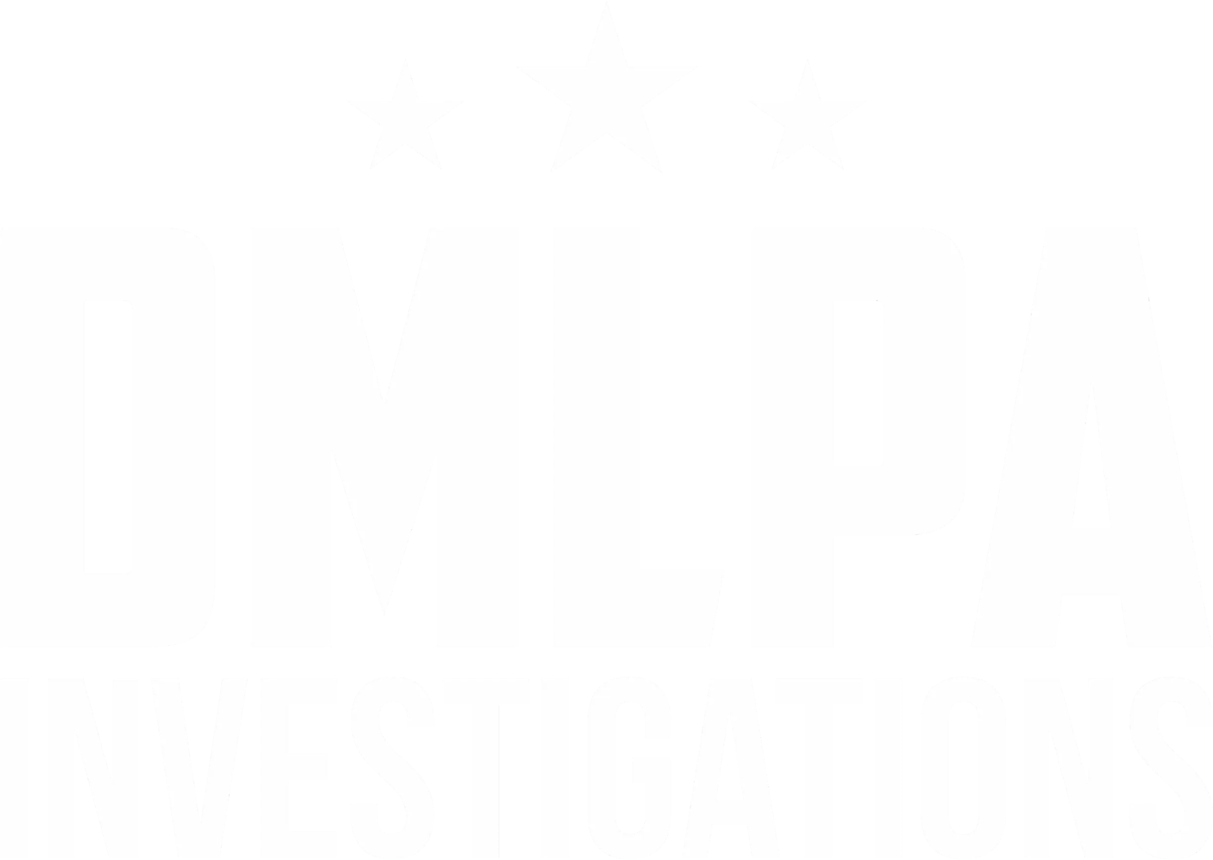 David M. Lowenstein, PA Investigations